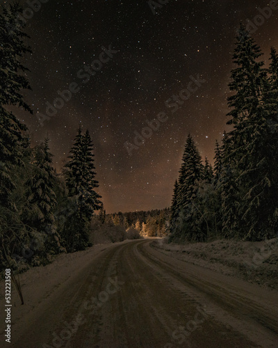 Road in the night with tall trees, snow and stars photo