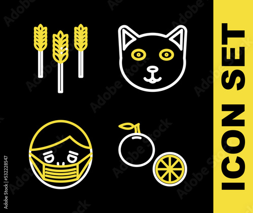 Set line Pet, Orange fruit, Face in protective mask and Wheat icon. Vector