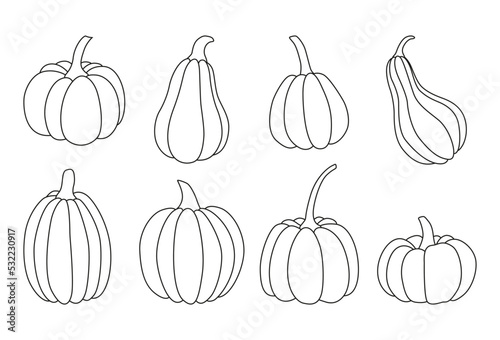 Vector pumpkin set. Hand drawn illustrations for autumn decorative design, halloween invitation. Line art.
