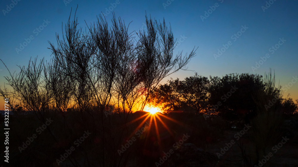 El sol se oculta tras los árboles de Los Barruecos en Malpartida (Cáceres) El sol se oculta tras los árboles de Los Barruecos en Malpartida (Cáceres)