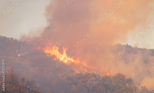 Forest fire. Huge flares of fire destroy everything around it. A large dark column of smoke rises into the sky. Mount San Cristobal, Pamplona. © JMGarcestock