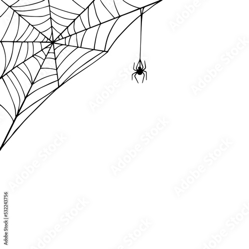 Print op canvas Linear sketch of a web with a spider.Vector graphics.