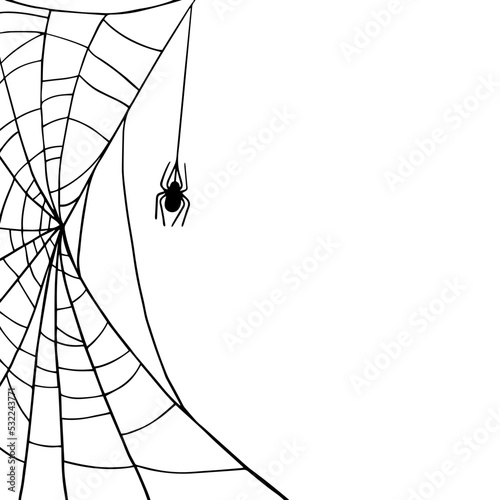 Murais de parede Linear sketch of a web with a spider.Vector graphics.