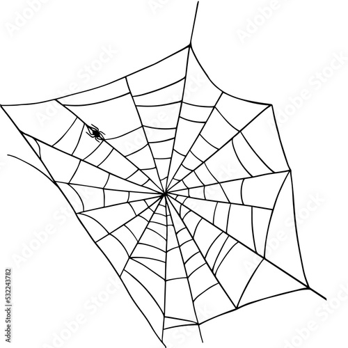 Linear sketch of a web with a spider.Vector graphics.