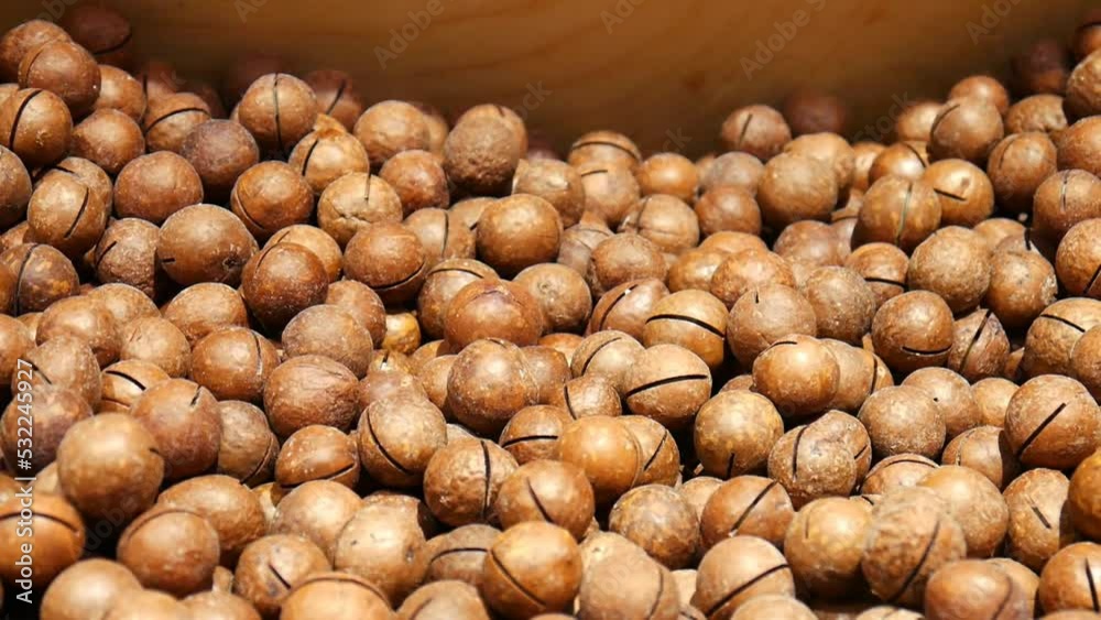 Close-up of a large pile of beautidul macadamia nuts