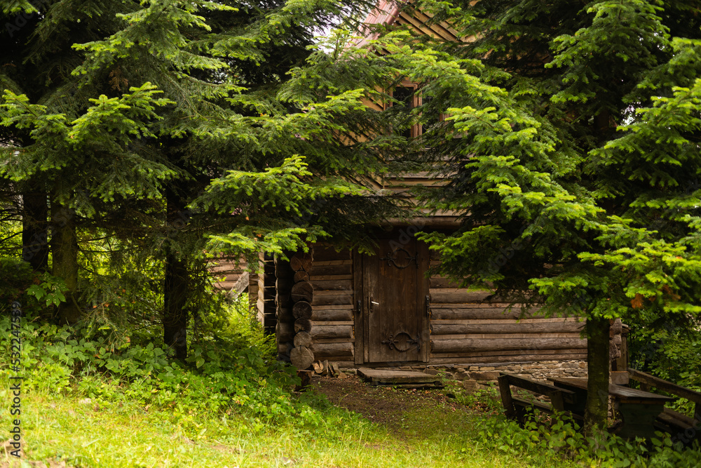 wooden house in the forest wooden house in the forest