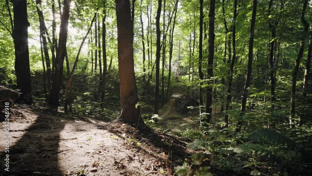 A cinematic shot in a sunny forest A professional extreme cyclist on a mountain bike accelerates and jumps over obstacles and hills in the forest. Cyclist jumps on a high springboard A cinematic shot in a sunny forest A professional extreme cyclist on a mountain bike accelerates and jumps over obstacles and hills in the forest. Cyclist jumps on a high springboard