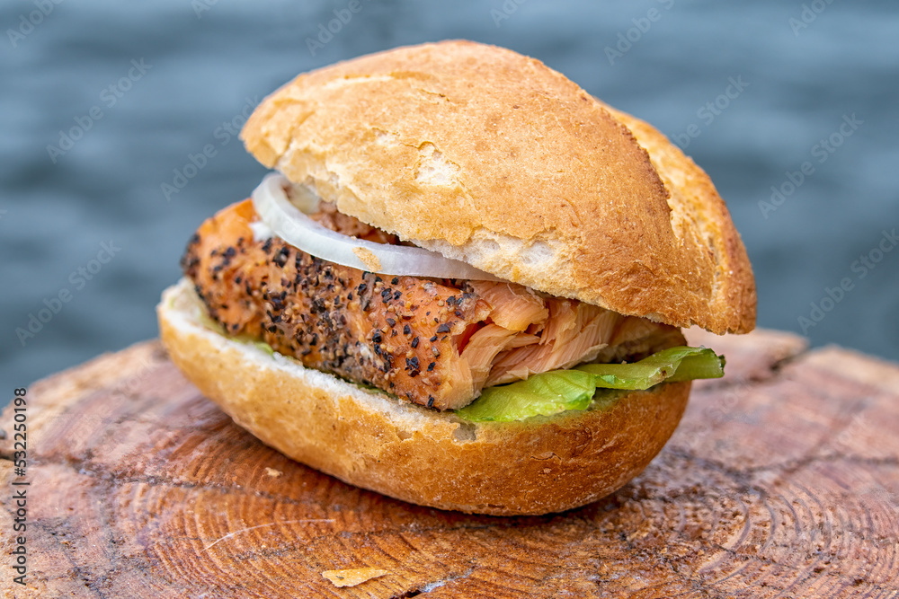 a delicious fish specialty from hamburg - fish sandwich with salmon