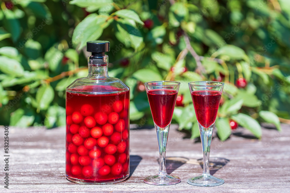 Homemade cherry brandy in glasses and in a bottle on a wooden table in a summer garden Homemade cherry brandy in glasses and in a bottle on a wooden table in a summer garden