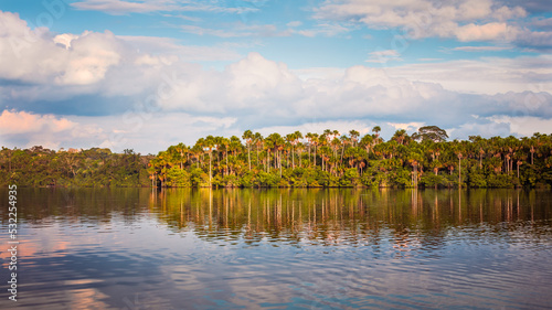 View of the Sandoval Lake with beautiful Mauritia palm trees reflecting on the calm waters of the lake, Tambopata Natural Reserve, Puerto Maldonado, Peru photo