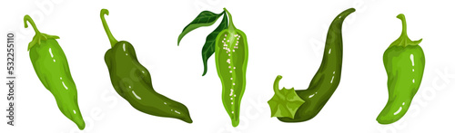 Set of green pepper pods.Cartoon vector graphics.