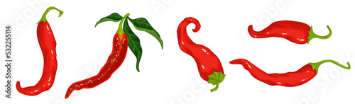 Set of hot red chili pepper pods .Cartoon vector graphic.