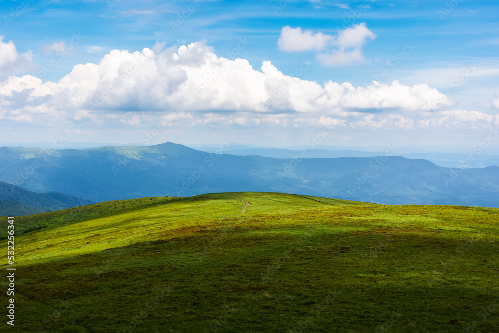 green scenery in dappled light. grassy meadows of carpathian mountain landscape on a sunny day. sky with clouds above horizon