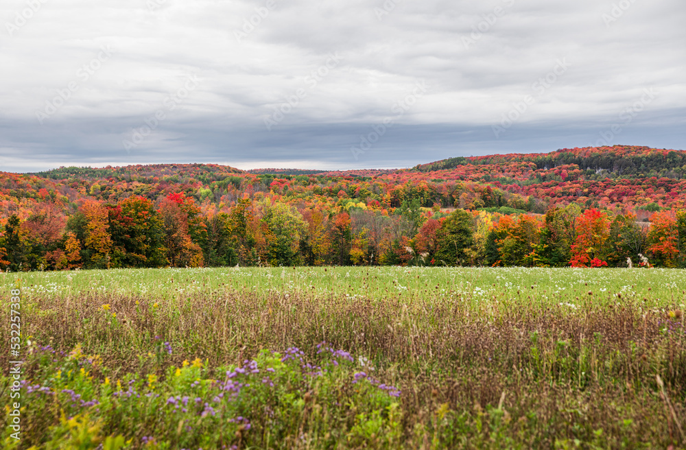 Colorful fall foliage on countryside in Ontario, Canada Colorful fall foliage on countryside in Ontario, Canada