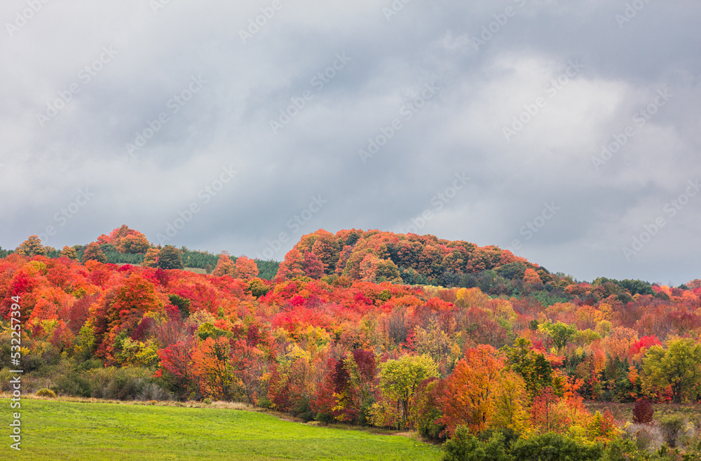 Colorful fall foliage on country hill in Ontario, Canada