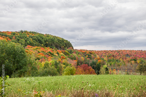 Colorful fall foliage on countryside with bluffs, in Ontario, Canada