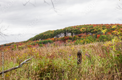 Bluffs and meadow with fall foliage in Ontario, Canada photo