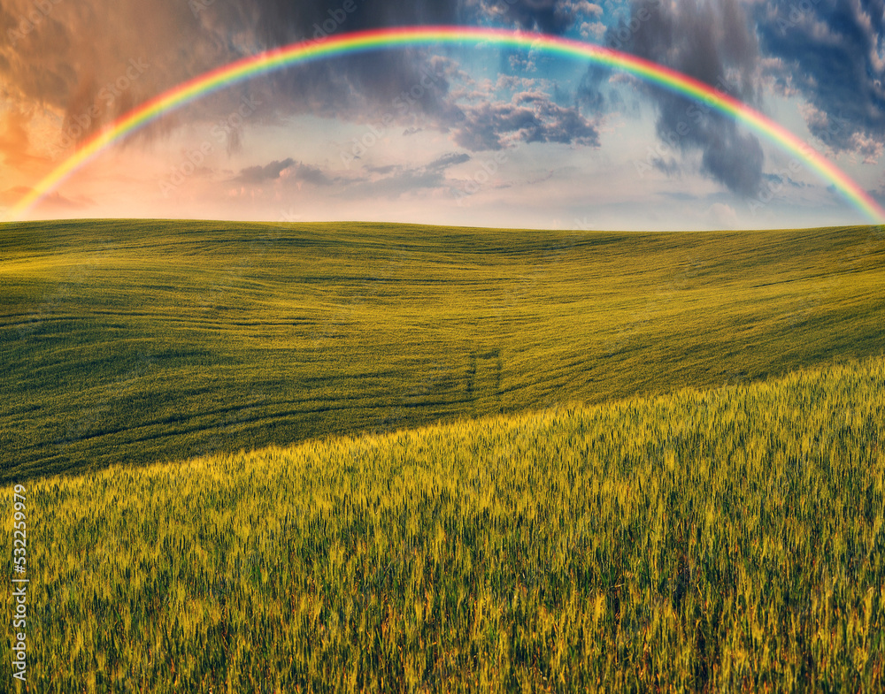 Scenic view of rainbow over green field. dramatic gray sky over a picturesque hilly field
Scenic view of rainbow over green field. dramatic gray sky over a picturesque hilly field