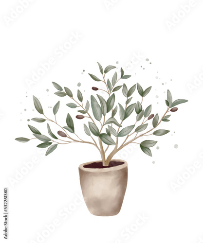 Watercolor card with olive tree in a ceramic pot. Hand drawn illustration for business, decoration.