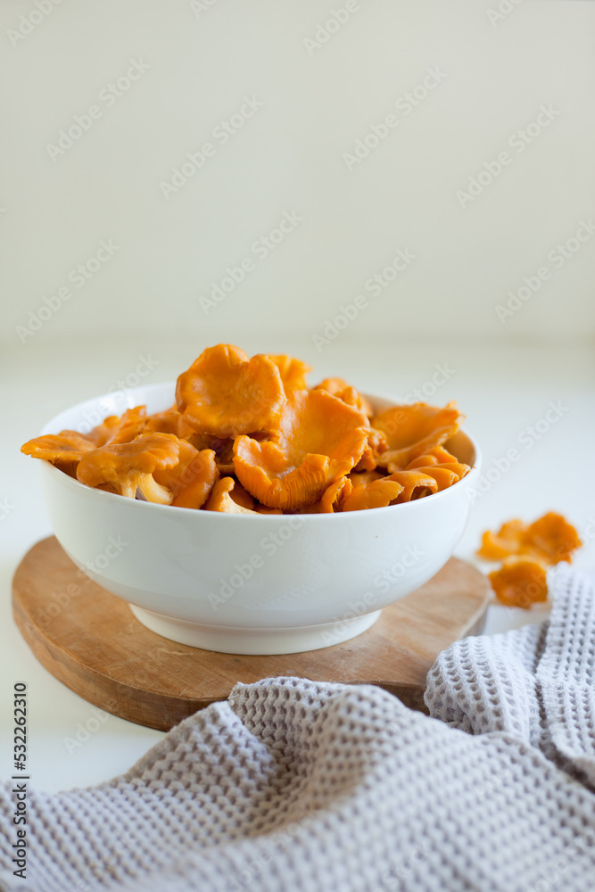 red chanterelle mushrooms in a white plate on a light gray table red chanterelle mushrooms in a white plate on a light gray table