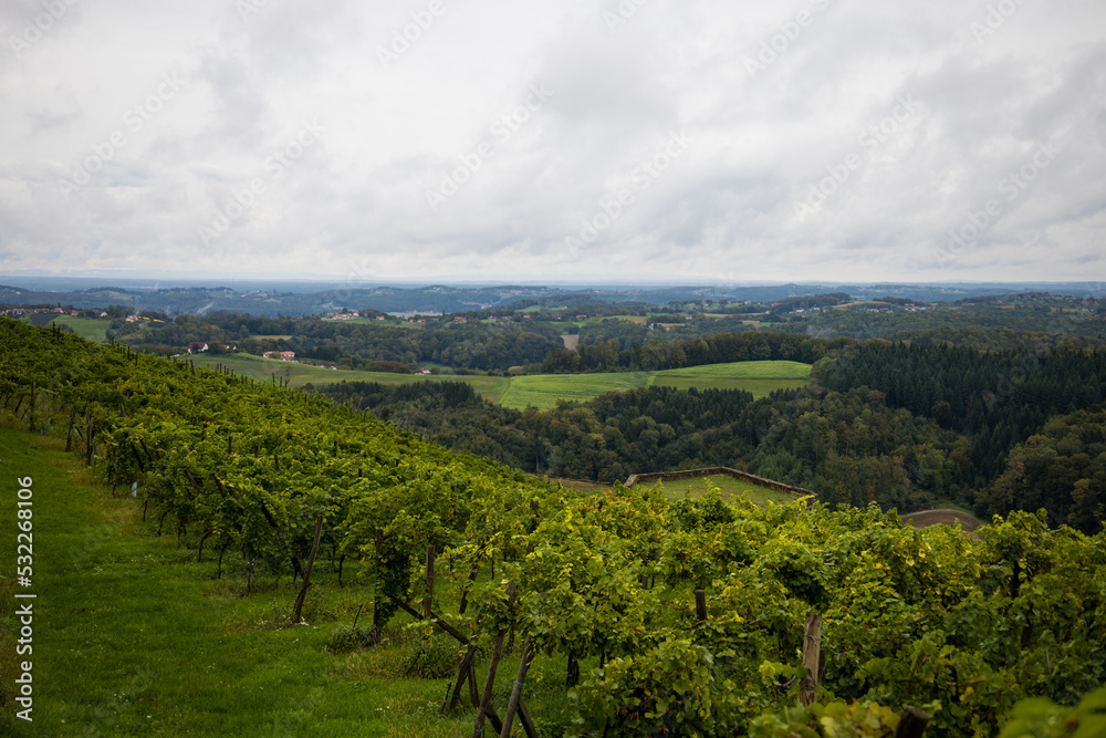 Riegersburg, Styria, beautiful southern Austria. Beautiful mountain alpine landscape with a vineyard.