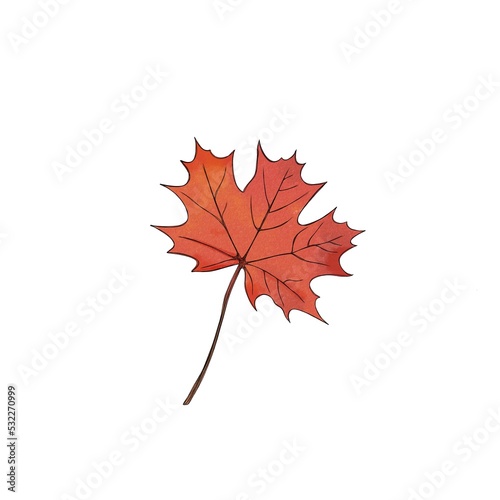 Maple leaf watercolor freehand illustration. autumn leaf close up