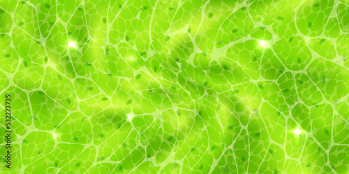 Abstract green seamless pattern or plant cells with nuclears texture under a microscope. Leaf tissue layer vector macro illustration. Microbiology background. Scientific structure.