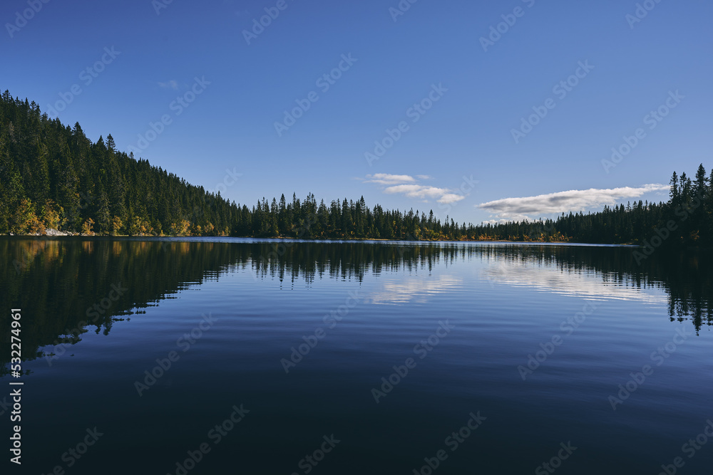 Fototapeta premium Image from a trip to the Svartdalstjerna Lakes, a forest nature reserve of the Totenaasen Hills, Oppland, Norway, at autumn of the year 2022.