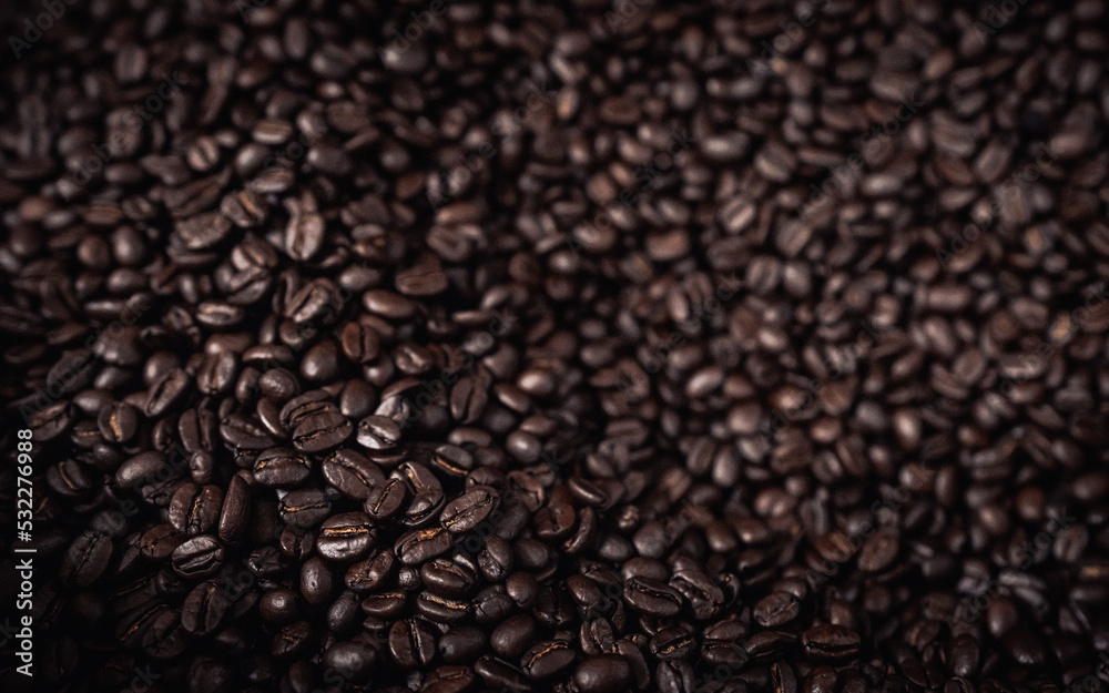 Close up of Freshly Roasted Coffee Beans Close up of Freshly Roasted Coffee Beans