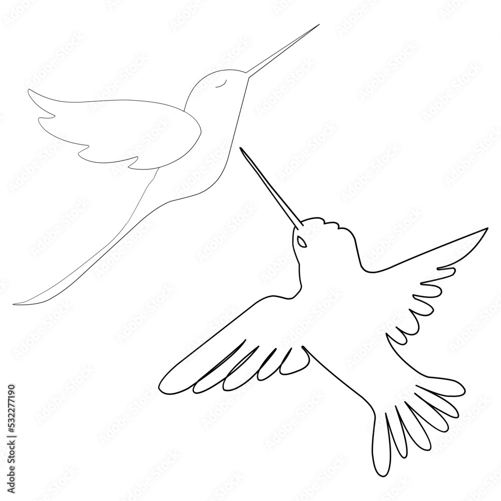 Fototapeta premium hummingbirds illustration. Hand-drawn doodles illustration. Line art. Icon