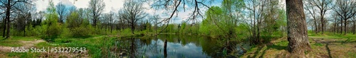 Fotografering Panorama of forest lakes in spring, young leaves and freshly blossomed buds of t