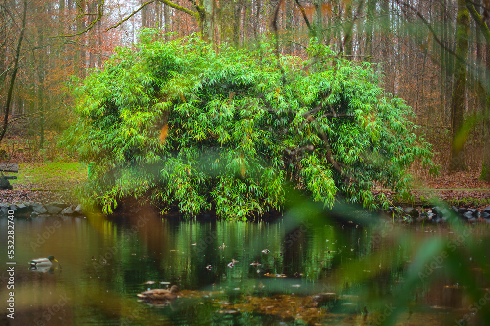 Fototapeta premium Autumn forest scenery. Reflection of trees on the lake water surface. 