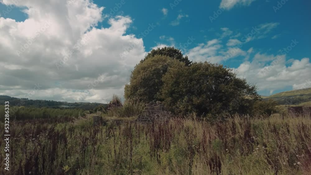 Lovely tranquil scene of trees, branches moving in the breeze, beside the stone walls of a house ruin. A bright sky with white clouds, and distant hills. Lovely tranquil scene of trees, branches moving in the breeze, beside the stone walls of a house ruin. A bright sky with white clouds, and distant hills.