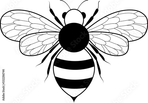 Honey bee icon. Insect character. Cartoon flying bee vector icon illustration isolated on white background.
