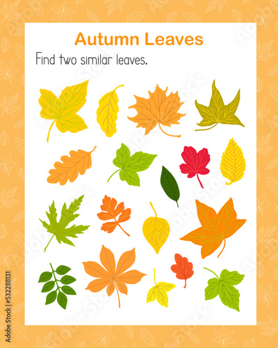 Find two similar tree leaves educational activity for children, fall autumn puzzle game, simple vector illustration worksheet for fun and leisure time, Thanksgiving holiday celebration