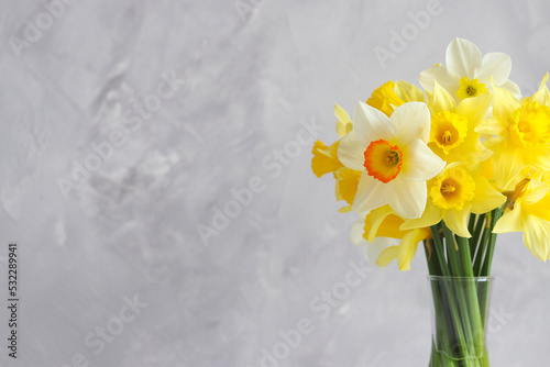 Beautiful bouquet of yellow daffodils against a gray wall with copy space. Greeting card for the holidays. Selective focus