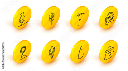 Set line Bag of flour, Pear, Corn, Sunflower, Banner, label, tag, logo for eco, Scythe, Cereals with rice, wheat, corn, oats, rye and icon. Vector