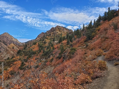 Autumn views from Mill B North trail  Wasatch National Forest in Utah
