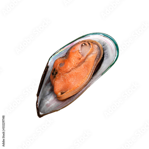 mussels on blue background patern top view