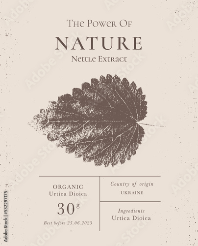 Elegant Label for Natural organic herbal products. Vintage packaging design collection for Cosmetics, Pharmacy, healthy food. Dried leaves, real herbarium