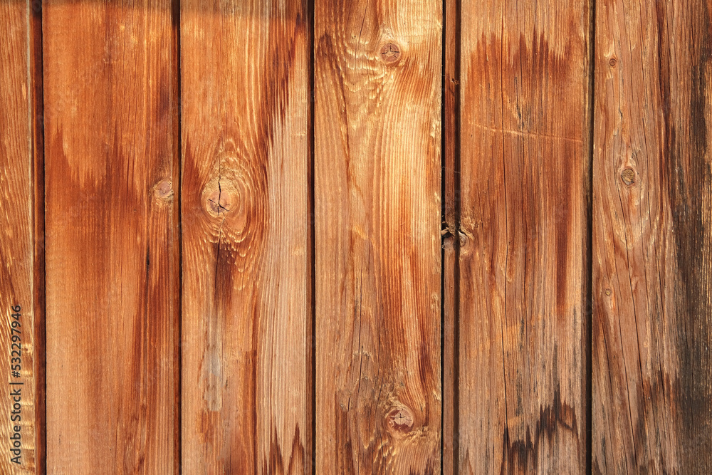 Fototapeta premium Wooden texture with vertical lines. The texture of wood with knots and holes. The background of a wooden fence damaged by time. The texture of a tree with moss.