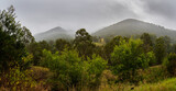 Panorama of Rural Scene on a Damp Day