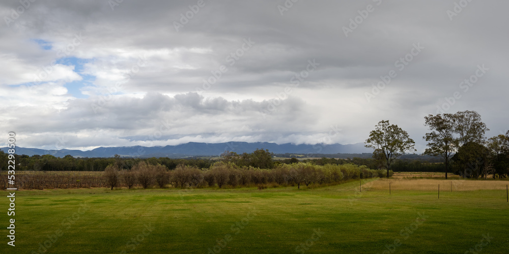 panoramic landscape with trees panoramic landscape with trees