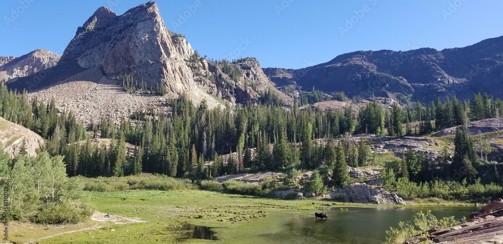 Lake Blanche and Sundial Peak, with a moose in the lake, Wasatch National Forest in Utah