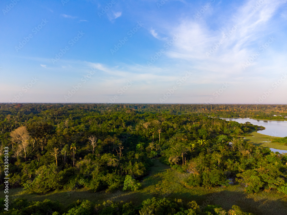 Obraz premium Aerial view of Igapó, the Amazon rainforest in Brazil, an incredible green landscape with lots of water and untouched nature