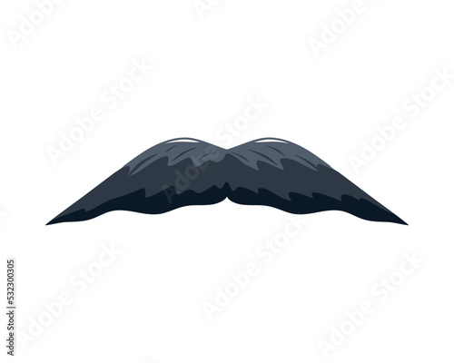 mustache male accessory