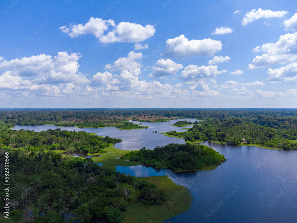 Obraz premium Aerial view of Igapó, the Amazon rainforest in Brazil, an incredible green landscape with lots of water and untouched nature