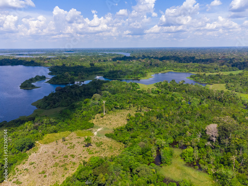 Aerial view of Igapó, the Amazon rainforest in Brazil, an incredible green landscape with lots of water and untouched nature © eugpng