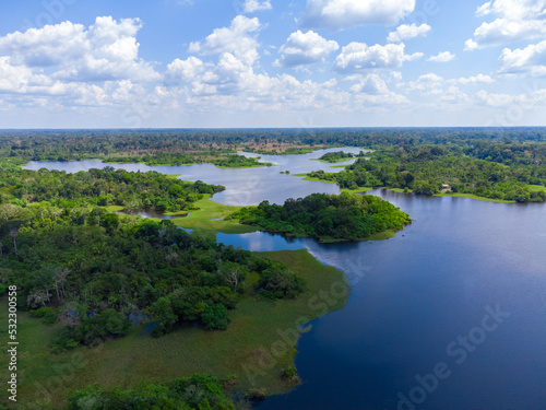 Aerial view of Igap    the Amazon rainforest in Brazil  an incredible green landscape with lots of water and untouched nature