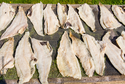 Salted cod fish drying outside, Winterton, Avalon Peninsula, Newfoundland, Canada. photo